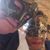 Kim Hoppe's profile image