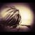 Jennifer Blackburn's profile image
