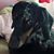 Denise Vining's profile image