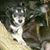 Jim Haury's profile image