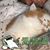 Diane Fleming's profile image