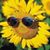 Angie Gretz-Lovelady's profile image
