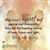 Christine Andstedt-Scaturro's profile image