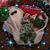 Mary Ann Neubecker Lupica's profile image