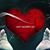 Sara Schmiel's profile image