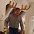 Hajo Schiewe's profile image