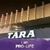 Tara Cole Bolton's profile image