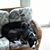 Darcy Ottaway's profile image