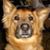 Robin J. Bowman McIntosh's profile image