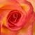 Brenda Segien's profile image