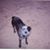 Toni Hawkins Fox's profile image