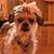 Lisa Nordman's profile image