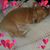 Tonya Slocum's profile image