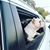 Kelly Shuen's profile image