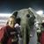 Mary Jo Holderfield Murphy's profile image
