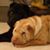 Roja Kwon's profile image