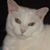 Barb Namie's profile image