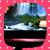 Martha Molina's profile image