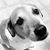 Michelle Kocian Bruchmiller's profile image