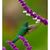 Rhonda Whitesell's profile image