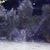 Anna Jamison Kreps's profile image