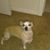 Debra Pressler-Malone's profile image