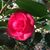 Dianne Logsdon's profile image