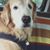 Mary Sandness's profile image