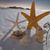 Kimberly Martin Dean's profile image