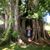 Kimberly Neely Bennett's profile image