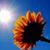 Debi Jenson's profile image