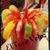Eltaco Veloz's profile image