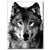 Caique Rocha's profile image