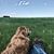 Carlee Elke's profile image