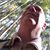 Francois A Lemieux's profile image