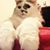 Kalyn Sterzik's profile image