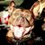 Kathy Clemmons's profile image