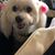 Snowflake Wichern's profile image