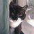 Eddie Beckett's profile image