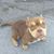 Yvette Aguirre's profile image