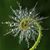 Lisa K. Wilson's profile image