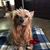 Linda Rivas's profile image