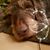 Michel Barbas's profile image