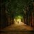 Joel Bay Lucas's profile image