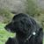Robert Haugland's profile image