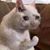 Morticia Stewart's profile image