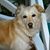 Maggie Rende's profile image
