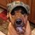 Michelle Femia-Jorge's profile image