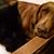 Kathy Motl's profile image