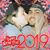 Maggie Knapp Urso's profile image